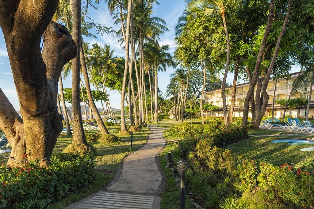 Hotel Tamarindo Diria Beach Resort Kemudahan gambar